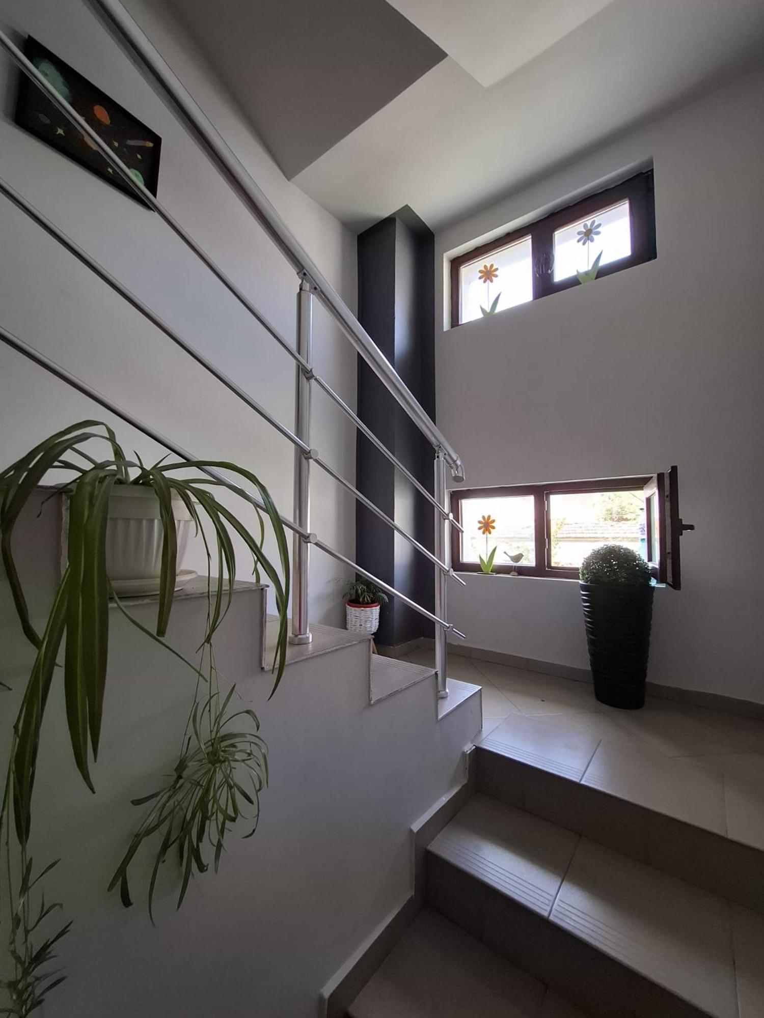 Guest Rooms Simona 2 Opanets Екстер'єр фото
